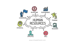 نقش منابع انسانی